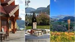 Image for Canadian wine: a Focus on Okanagan Falls 