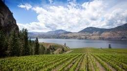 Okanagan Falls. Photo from BC Wine Institute. Okanagan Falls. Photo from BC Wine Institute.