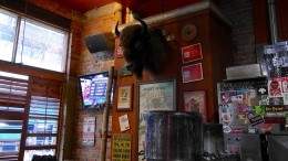 Image for If These Walls Could Talk: Confessions of a Smokehouse Buffalo