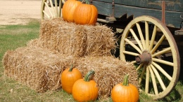 Image for 6 Harvest dinners to check out across Canada