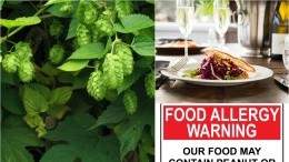 Canadian food news to catch up on for December 2016