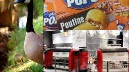 Image for ICYMI: Poutine Pizza Pops, potential banning of bee-killing pesticide, Toronto's new 25,000 square foot food hall and more
