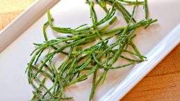 Sea asparagus uses