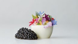 Image for Langon Hall’s well-dressed peewee hen eggs