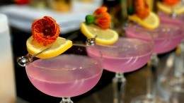 Image for Shannon Boudreau&#039;s The Cocoon Evolution cocktail