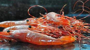 spot prawns