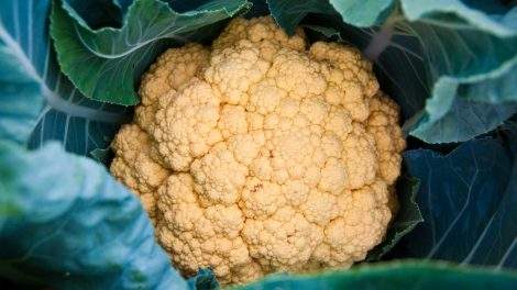 cauliflower