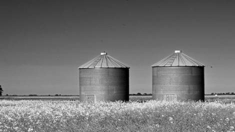 Image for More Than Maple Syrup: Episode 26