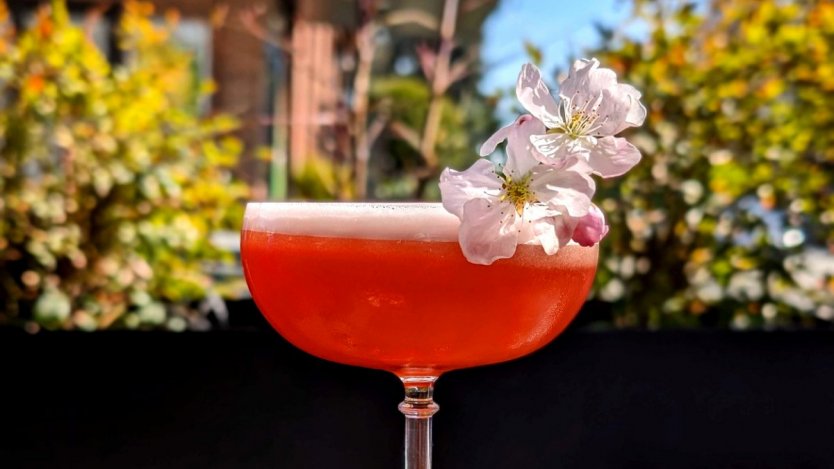 Photos provided. Image for Make it at Home: Anh and Chi's Cherry Blossom cocktail