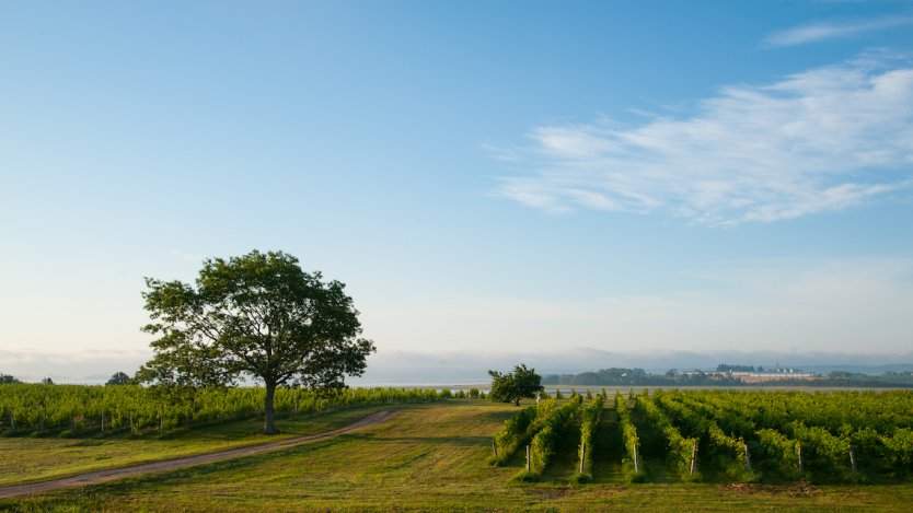 Image for Blomidon Winery