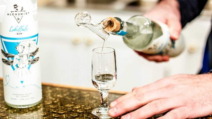 Image for twyla article - please delete url redirect after changing title!