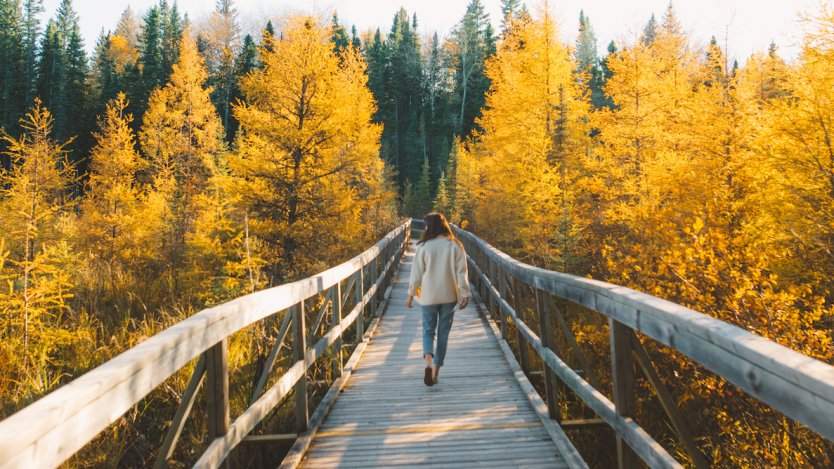 Image for Daily bite: Canadian pop-up restaurant, RAW: almond announces national park dining series