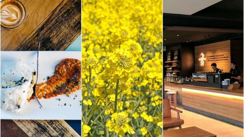Image for ICYMI: Vancouver Starbucks extends its menu to alcoholic drinks, Alberta farmers expand canola production and a cultural-burrito controversy in food news this week