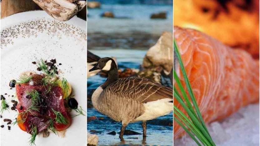 Image for ICYMI: Canadian stores sell genetically modified salmon, Washington park donates Canadian geese for consumption, and enRoute magazine’s list of the best new restaurants in this week’s food news