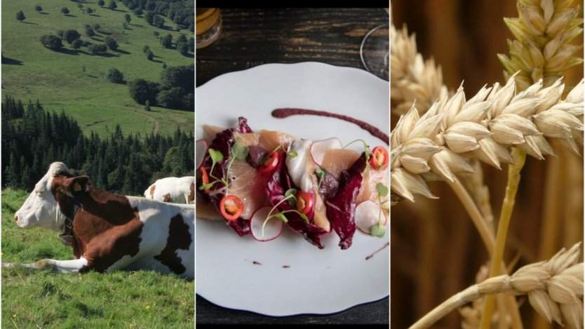 Image for ICYMI: New opening in Montreal, Italian protest against Canadian food, large government investments to create sustainable beef in Ontario and more in this week&#039;s food news