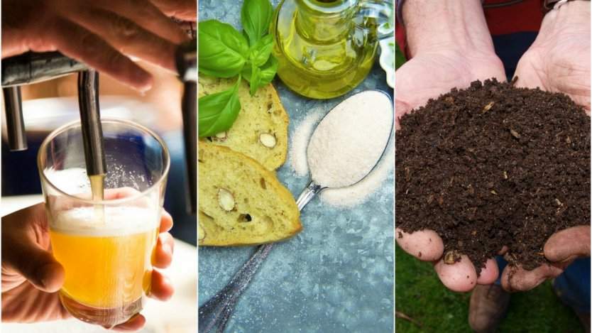 Image for ICYMI: Calgary’s new Shepard composting facility opens, two actors hosting Canada’s new baking show and the changing world of craft beer in this week's food news