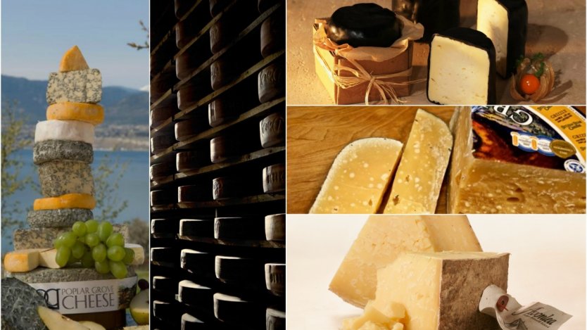 Six regionally famous Canadian cheeses to try