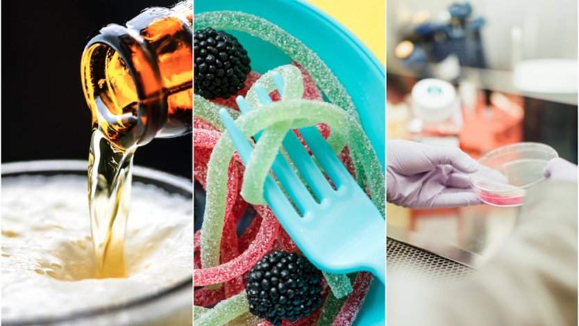 Image for ICYMI: The new bread beer fights food waste, unproven food sensitivity tests, exposure to junk food ads causing child obesity and more