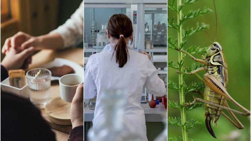 Image for ICYMI: Dating app for foodies, Richardson’s multi-million food innovation centre, growing popularity of meat substitutes