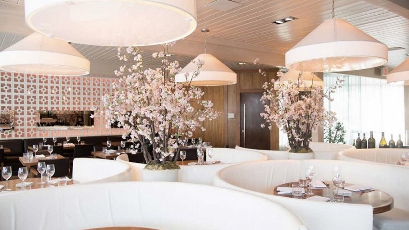 Image of Calgary's Alloy via Instagram