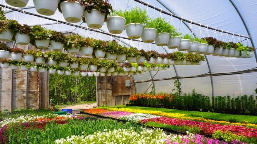 Image for Nova Scotia’s Fox Harb'r Resort puts sustainable dining first