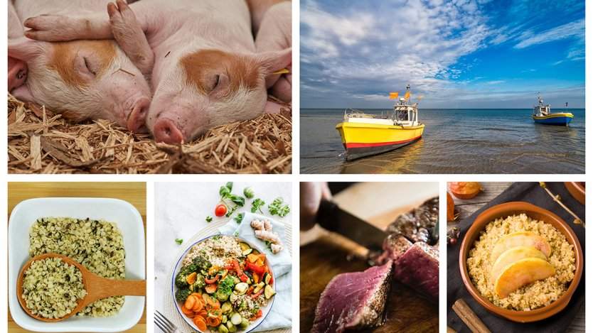 Image for ICYMI: March 14