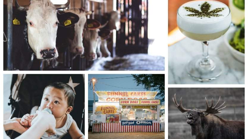 Image for ICYMI: Federal prison farms to reopen in Ontario, Nom Noms debuts in Canada, and more
