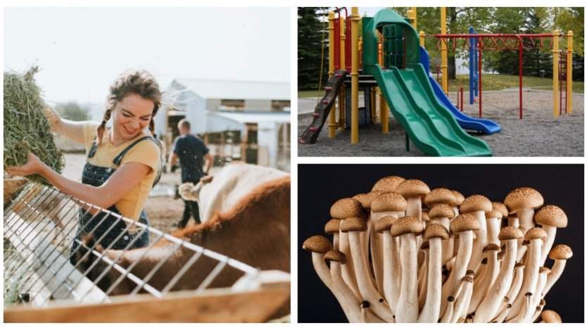 Image for ICYMI: Canadian packaged foods high in sodium, dairy farmers to receive $1.75 billion, and more