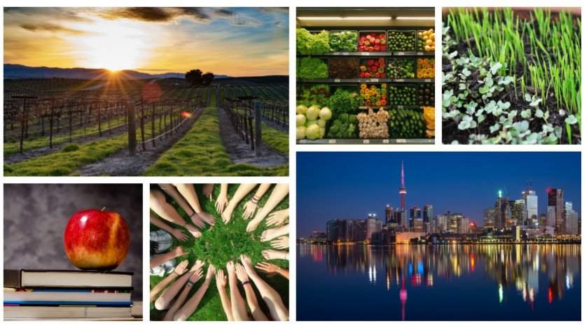 Image for ICYMI: Canadian children continue to eat healthier, Calgary Co-op to source groceries from Save-On-Foods, and more