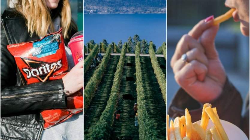 Image for ICYMI: &quot;Lady Doritos&quot;, Alberta government boycotts import of B.C. wine, signs of food addiction and more