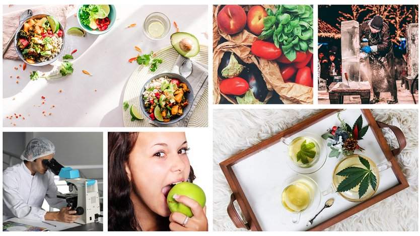 Image for ICYMI: Save-On-Foods joins no-waste movement, Festival du Voyageur turns 50, and more