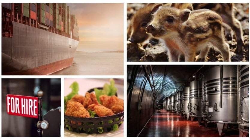 Image for ICYMI: Big Rock Brewery announces layoffs, what's happening with trash from the Philippines, and more