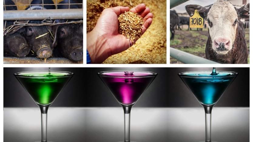 Image for ICYMI: Chinese-Canadian trade relations remain complicated, Canada amends vodka standard, and more