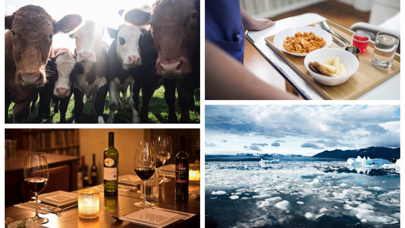 Image for ICYMI: Canadian cattle producers file complaint against Beyond Meat, Canadian hospitals to improve meal quality, and more