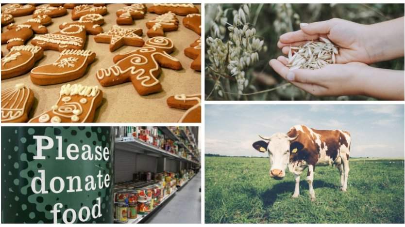 Image for ICYMI: Canada's booming oat milk market, deep-fried maple leafs, and more