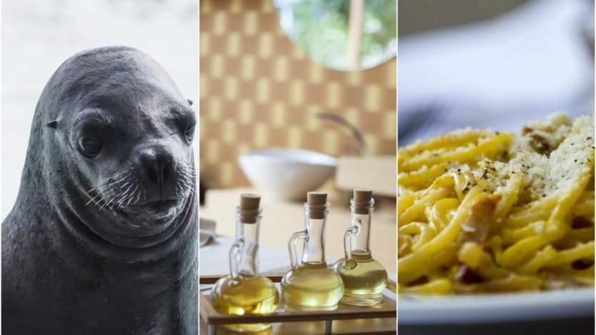 Image for ICYMI: Dispute over consumption of seal meat, Canadians spending on food and top Italian restaurants in Canada in last week's food news