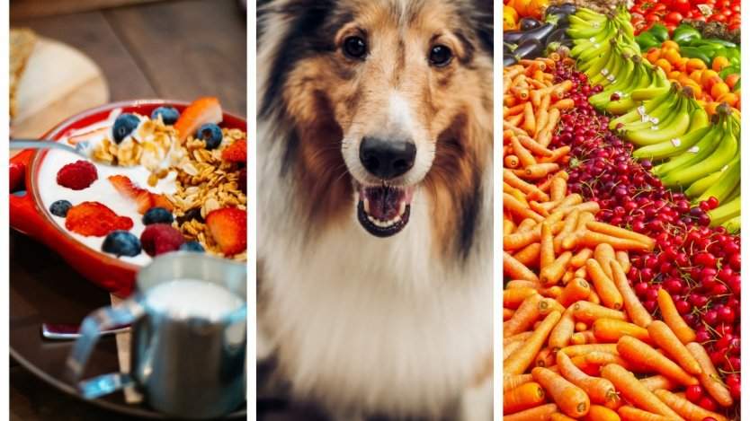 Image for ICYMI: Bannock brunch, cannabis dog food, the new Canadian Food Guide and more