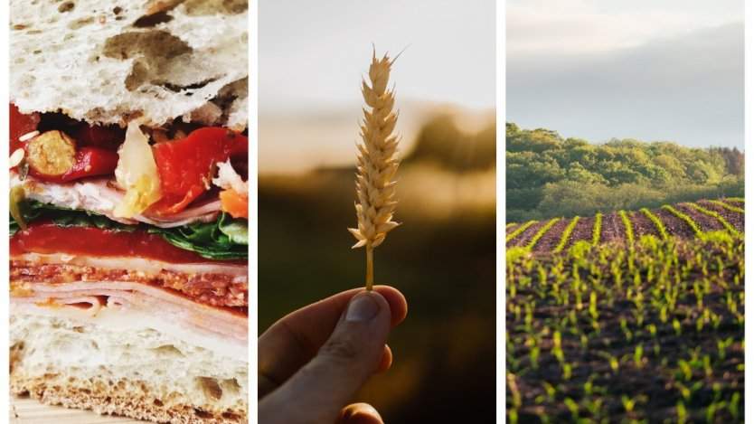 Image for ICYMI: Dempster&#039;s donation, wheat code cracked, feeding the world and more