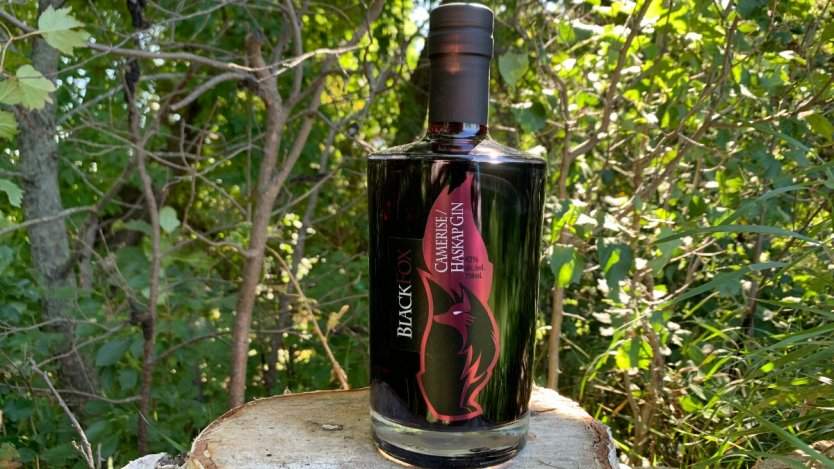 Image for Daily bite: Black Fox Farm and Distillery launch new Haskap Gin