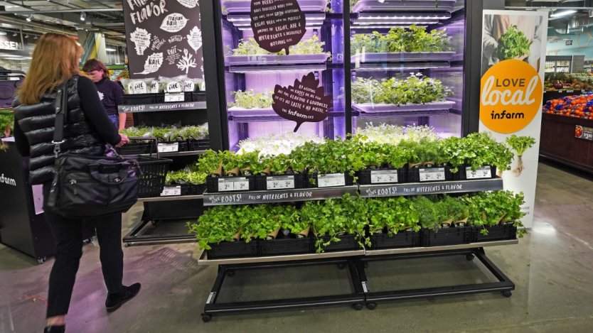 Safeway Sobeys And Thrifty Foods To Add Infarm Hydroponic Systems