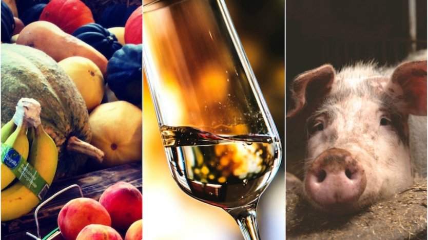 Image for ICYMI: Early draft of Health Canada Food Guide, January vegan challenges gaining traction, Niagara Icewine Festival underway, viral pig disease found in Alberta and more