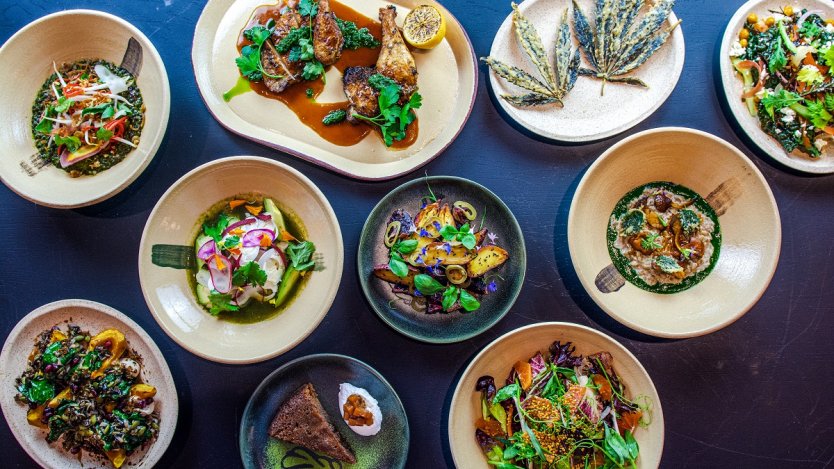 Photos by Aliza J. Sokolow