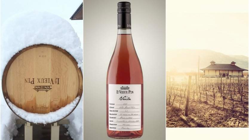 Image for A taste of spring: new wines from British Columbia