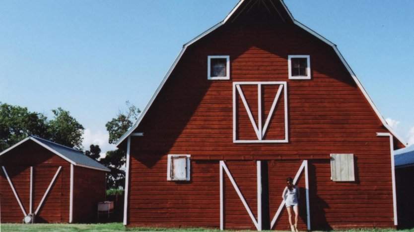 Image for The dog days of summer on a Saskatchewan farm