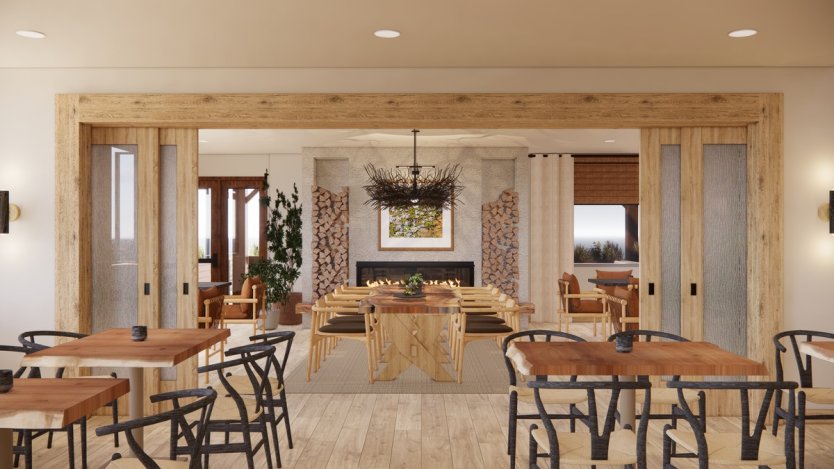 Image renderings via Terra by Pursuit