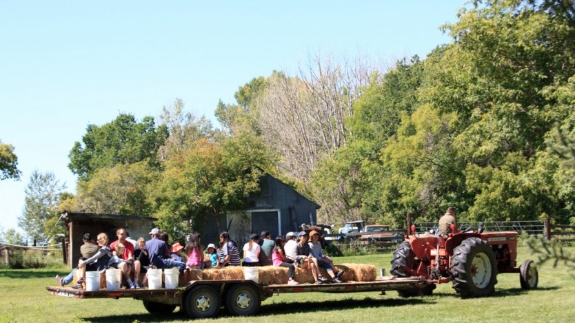 Photo by Alberta Open Farm Days. Image for Explore the farms of Alberta with tours and dinners of Alberta Open Farm Days