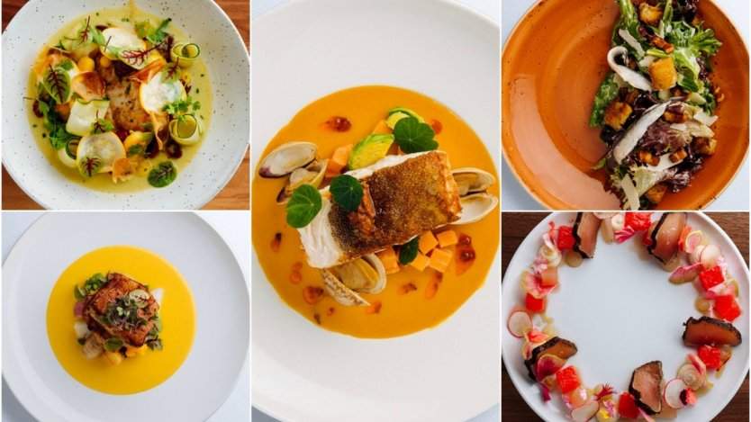 Image for Daily bite: Ocean Wise partners with new Canadian food tech company, Transparent Kitchen