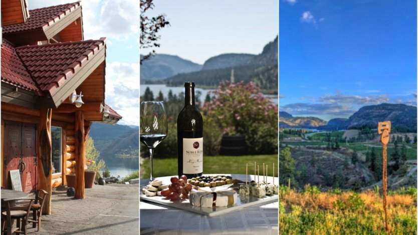 Image for Canadian wine: a Focus on Okanagan Falls 