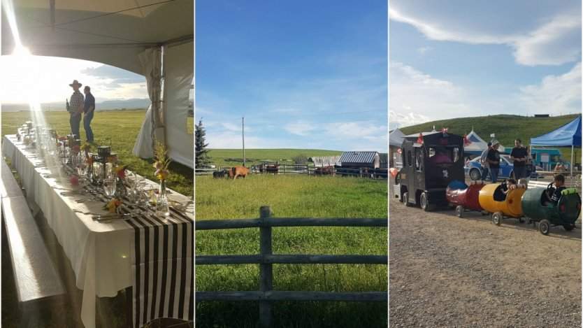 Image for Alberta Open Farm Days appeal to all your senses to let you experience its rural communities