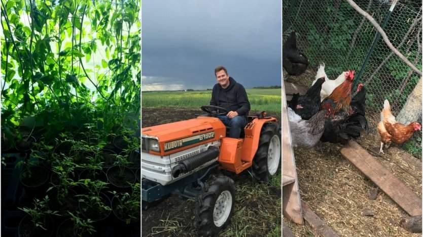 Image for A day in Paradise Fields with Chef Spencer Thompson